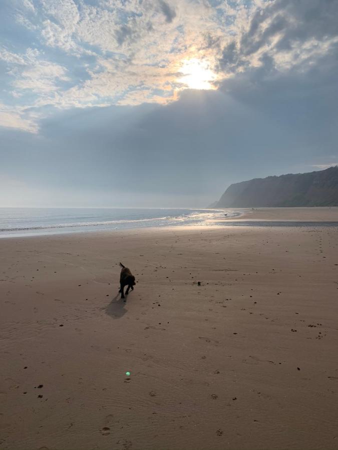Sandy Feet Retreat エクスマウス エクステリア 写真